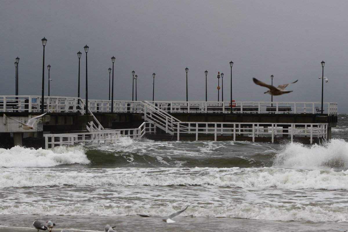 gdansk's tweet photo. Ze względów bezpieczeństwa z użytkowania wyłączono molo w Brzeźnie 🌊 Według prognoz IMGW silne wiatry występować będą w #Gdansk.u co najmniej do godz. 23.00 📢 https://t.co/RcwJabIy5m