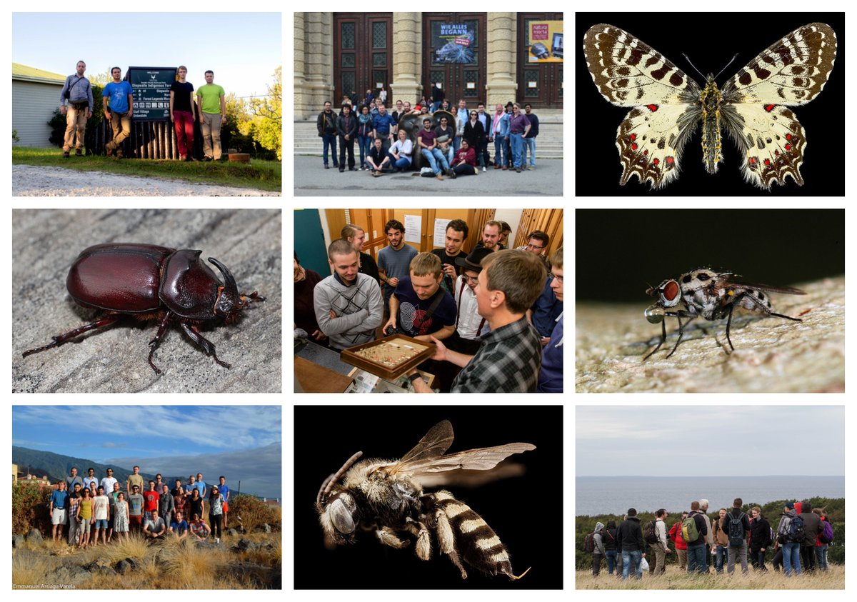 The New Year 2019 has just begun! 🎊

"Еven though our network is formally completed, we still go together as a community," Project coordinator Alexey Solodovnikov. 
Find out how BIG4 researchers are moving forward:🖱️big4-project.eu/news/11697_whe… 
#HappyNewYear2019 #BIG4Results