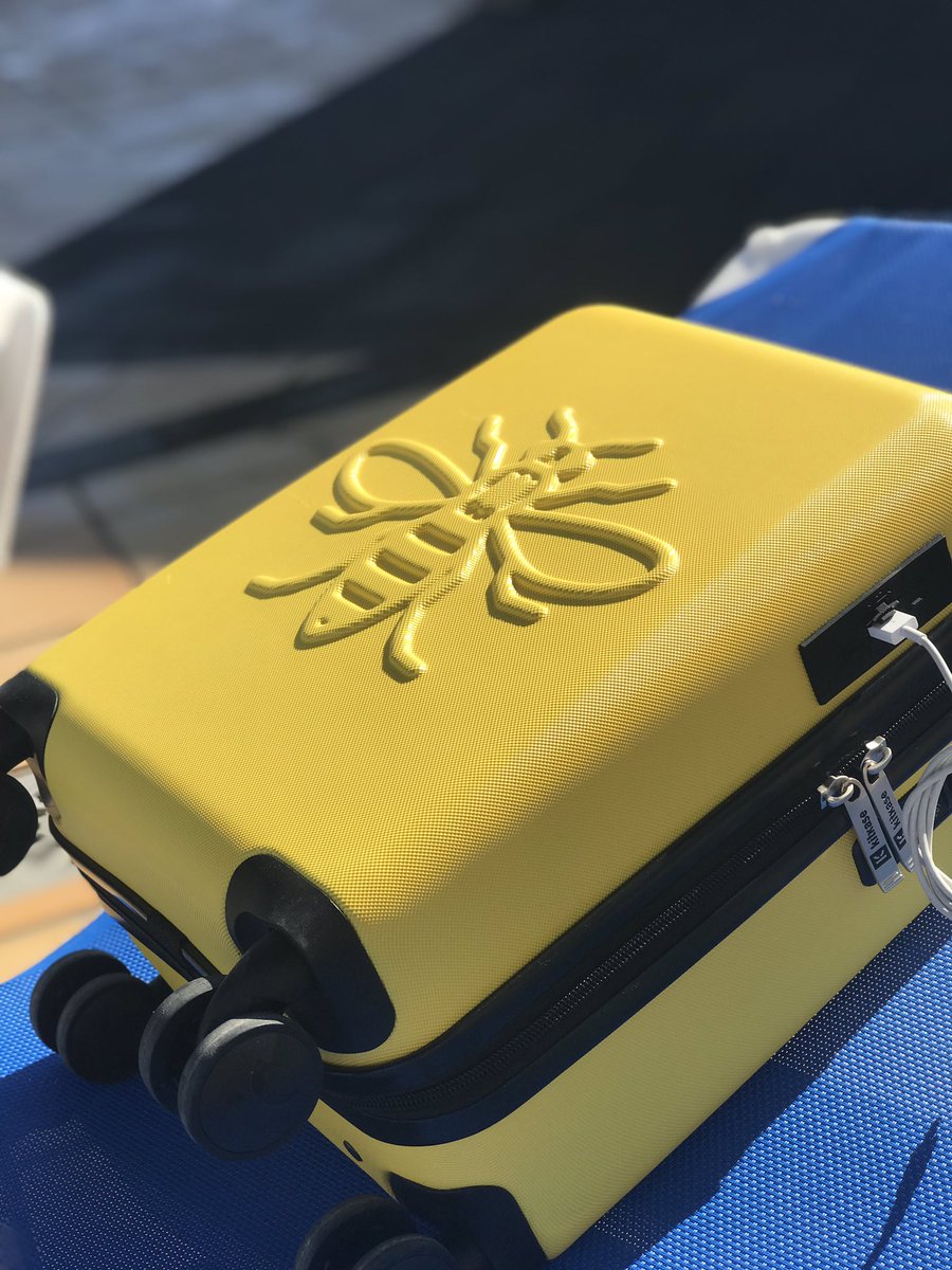 GemmaBo23's tweet photo. This little 🐝 is starting 2019 as it means to go on, lots of ☀️✈️🏖 and making memories @MyKitkase #MiniBee https://t.co/LtE1DkKQTz