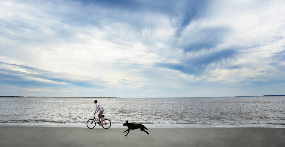 MyrtleFriendly's tweet image. Beautiful beachfront property with swimming and great views for whale watching. Book now.
For more info. call us at 843-222-5555 and visit our website mbpfr.com