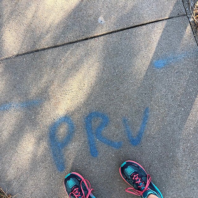 CompeteTeam's tweet image. Looking to PR in 2019?  Let us help you ✔️it off your list of goals!  Follow the link in our profile to all the goodness Team Compete has to offer...coaches, training plans, awesome support, race packages for all distances.