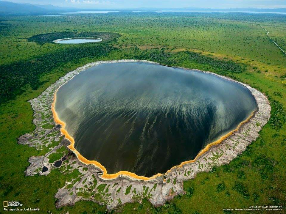 SafarisUganda's tweet photo. Stunning Views of the Nyamunuka crater
The odour might be foul but buffalos at #QueenElizabethNationalPark have found refuge in it. #HealingPlace #HospitalInThePark
📷:Joel Sartore
#WorldVisit🇺🇬#TIA #QENP #BeautifulViews #SafarisUganda #GameDrives #BoatCruises #SightsAndSounds https://t.co/DQvrXKNBa7