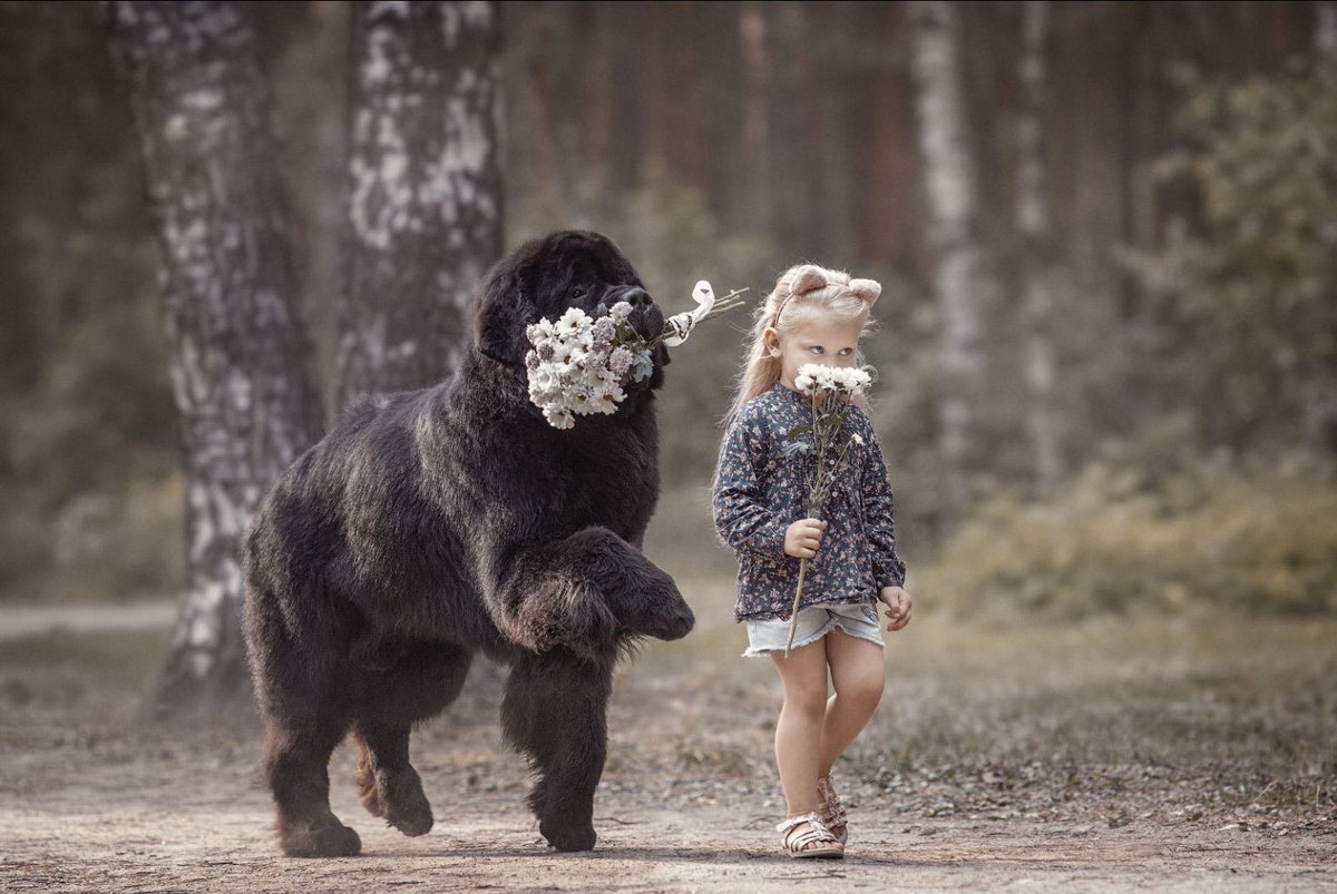 ramblingsloa's tweet photo. Happiness held is the seed;
Happiness shared is the flower.

John Harrigan
Pic Andy Seliverstoff https://t.co/Hd1EoJxt68