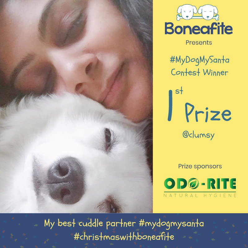 boneafite's tweet photo. Congratulations to all the winners and Thank you everyone for participating! It was very difficult to select only 3 out of all the amazing posts. A big thanks to @odoriteIndia for being the Prize sponsor.
#boneafite #odorite #dogfamily #mydogmysanta #dogcontest #fortheloveofdogs https://t.co/CDiTQ3Df4G