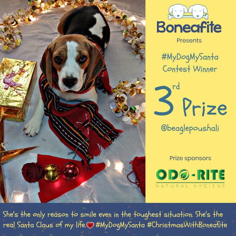 boneafite's tweet photo. Congratulations to all the winners and Thank you everyone for participating! It was very difficult to select only 3 out of all the amazing posts. A big thanks to @odoriteIndia for being the Prize sponsor.
#boneafite #odorite #dogfamily #mydogmysanta #dogcontest #fortheloveofdogs https://t.co/CDiTQ3Df4G
