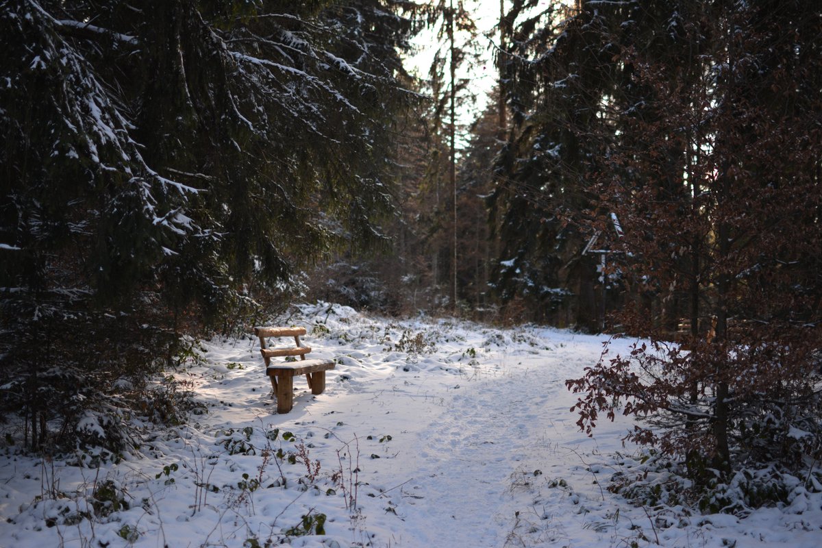 Greentumble's tweet photo. In 2019, we wish you many: 
 ✅quiet days spent in sync with nature; 
 ✅walks through abundant forests; 
 ✅rests in the lush grass, or in the warm and soothing sand on beaches; 
 ✅barefoot strides over living soils;  
 ✅deep breaths of clean air;
 ✅and sips of pure water. https://t.co/SmapLrTJVA