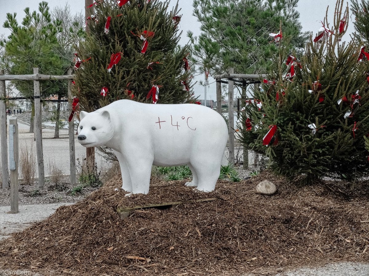 Au pied du sapin, il n'y avait pas que des cadeaux.  #ExtinctionRebellion #affairedusiecle #Voeux2019