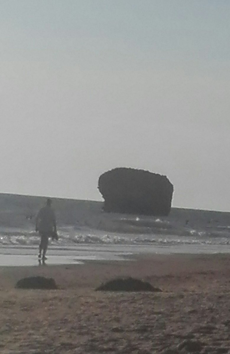 Neferfati's tweet image. 