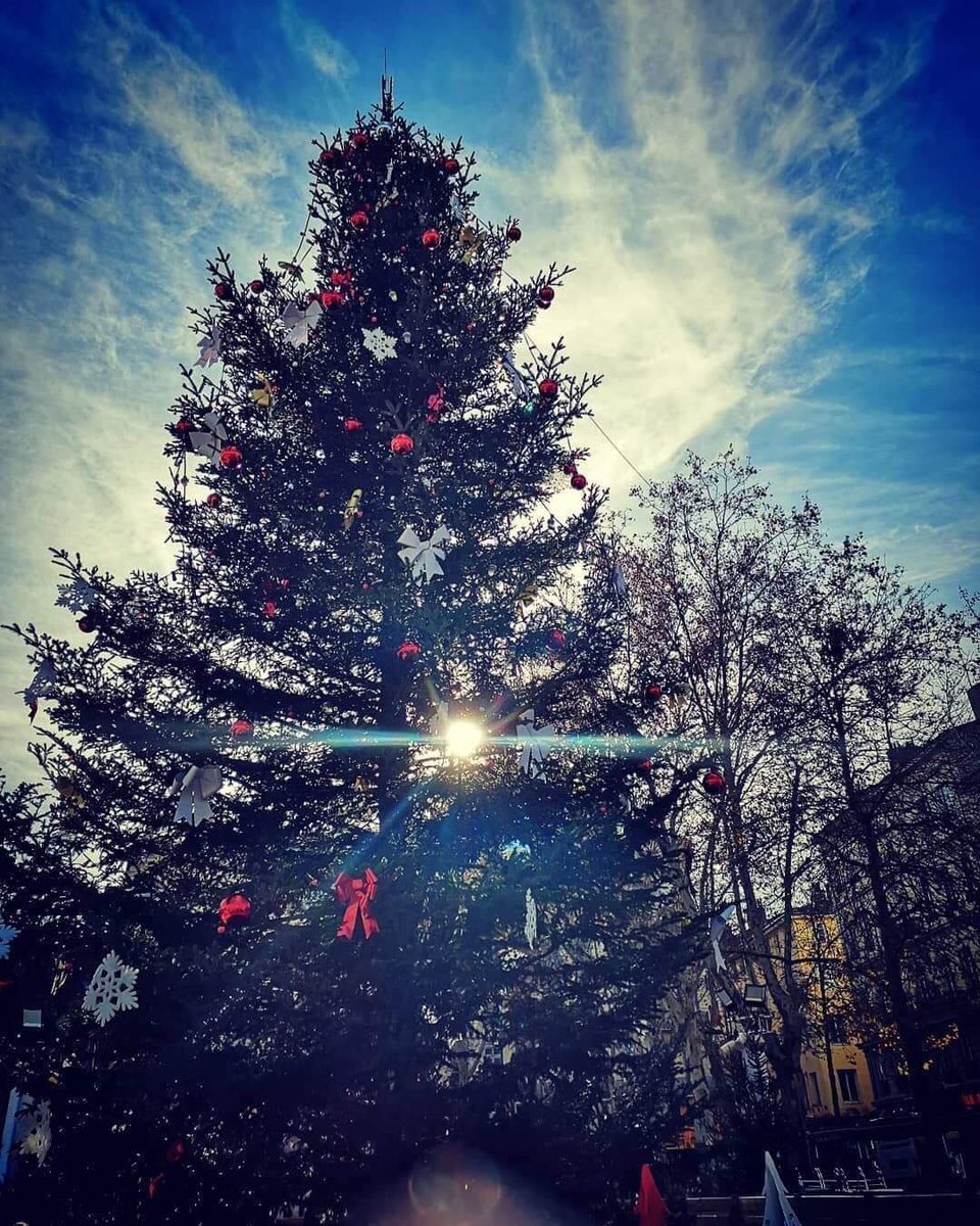saint_etienne_'s tweet photo. Donnez une seconde vie à votre sapin de #Noël ! 🎄 Déposez-le dans l'un des 30 points de collecte. 😉 Il sera réutilisé en paillis de protection dans les espaces verts.👏 Plus d'infos 👉https://t.co/pSfPofQhta #recyclage #sapin #saintetienne #pointdecollecte #espacesverts https://t.co/DZimea50gQ