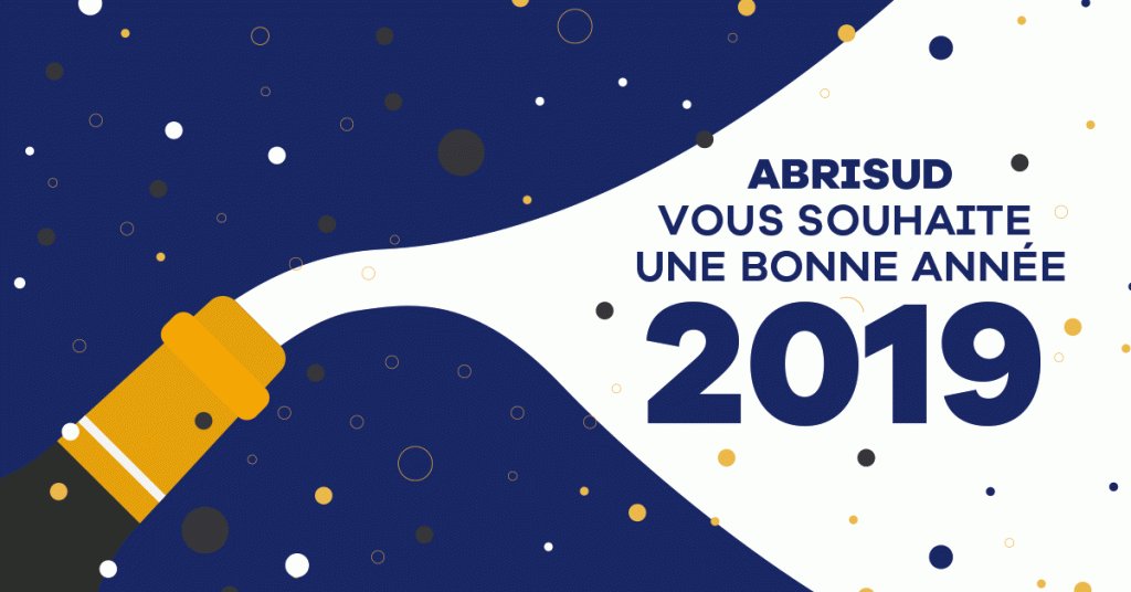 Belle et heureuse année 2019 ✨