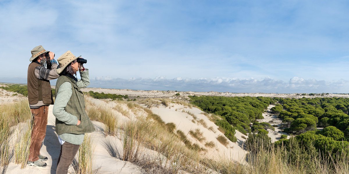 Propósitos para 2019 🙌😍

1️⃣ Vivir, vivir y vivir
2️⃣ Conocer todos los rincones posibles de Huelva

#SienteHuelva #HuelvaLaLuz #HuelvaMuchoQueVer