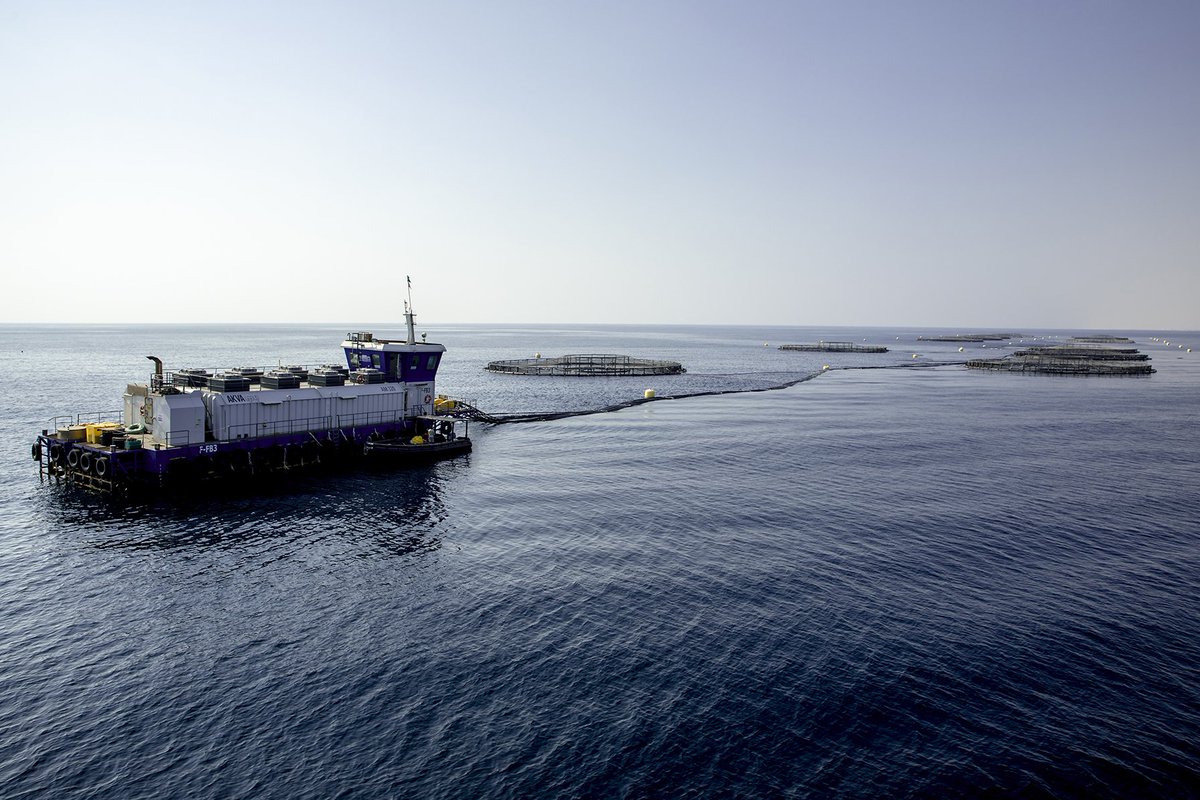 نفخر جميعاً في المملكة بهذا التطور الحاصل في قطاع الاستزراع المائي ونشكر الشركات والمشاريع الرائدة التي قادت هذه النهضة في القطاع ونخص بالذكر المجموعة الوطنية للاستزراع المائي <a href="/naquaco/">Trung Nguyễn Đòan</a> @Ali_Alshaikhi1