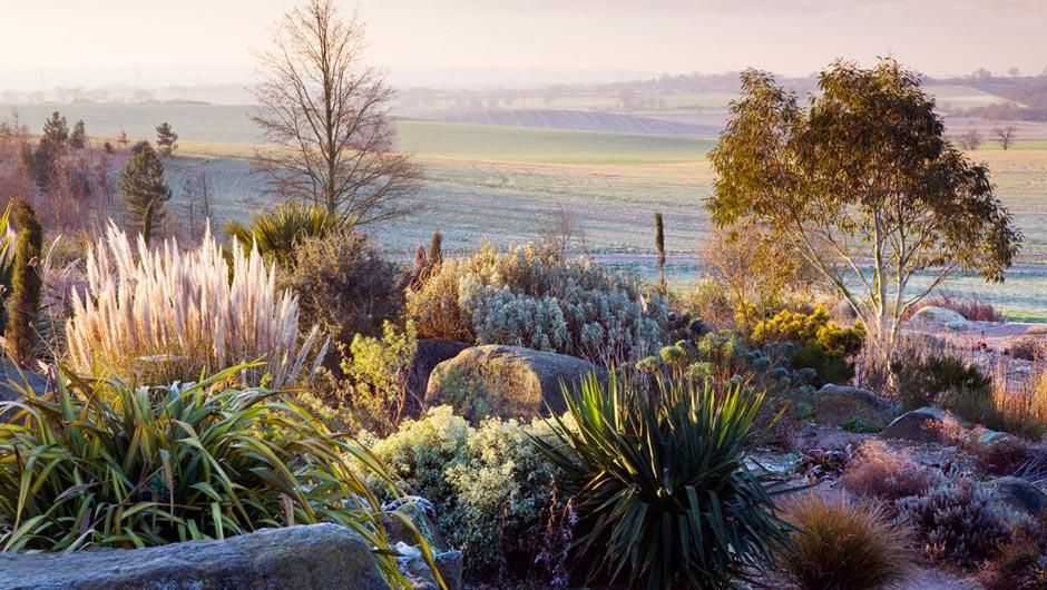 EAFormby's tweet photo. January might be the middle of winter but as the days lengthen the #garden starts to grow. Check out these #toptips and advice from the Royal Horticultural Society, on what to do in your garden in #January > https://t.co/i9NRZJzSFF via @The_RHS #gardening #gardeningtips https://t.co/I6Z3rtpzHz