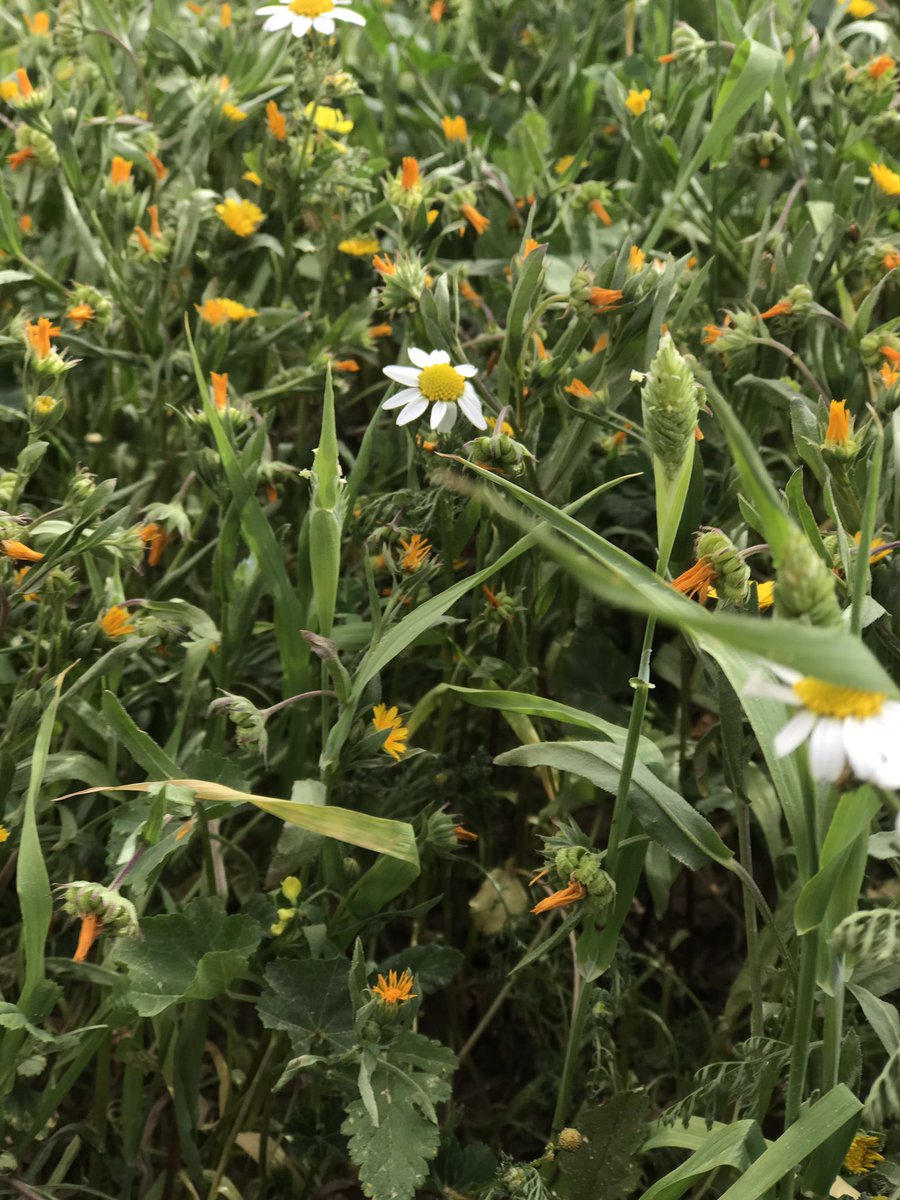 raid_58's tweet image. #اي_مدينه_سعوديه_تحبها