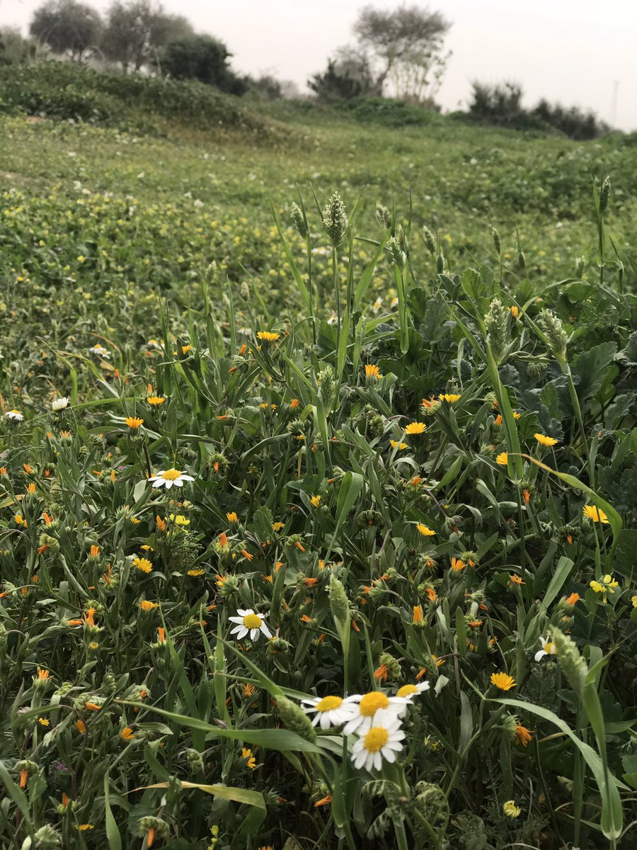 raid_58's tweet image. #اي_مدينه_سعوديه_تحبها