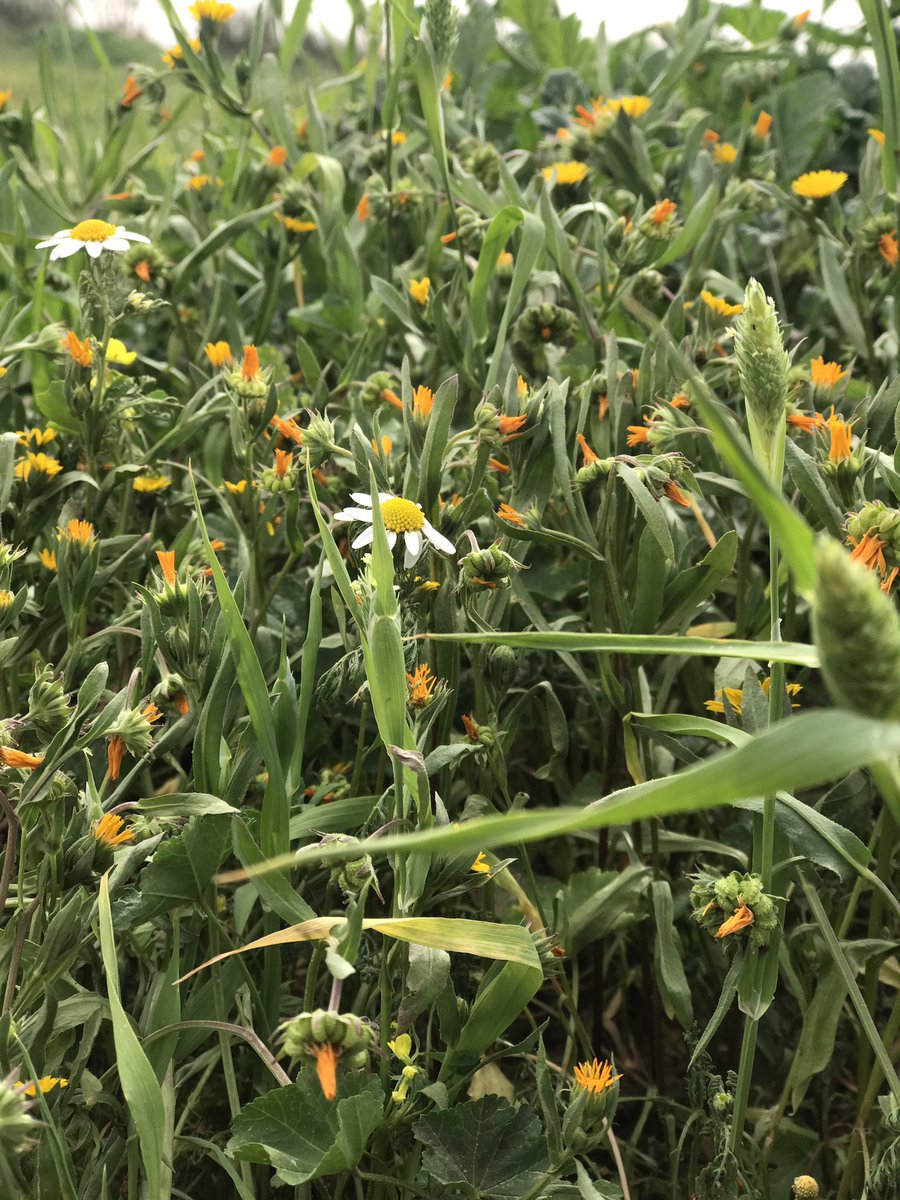 raid_58's tweet image. #اي_مدينه_سعوديه_تحبها