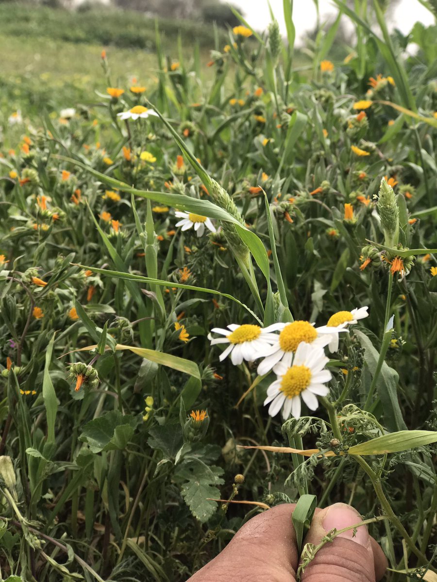 raid_58's tweet image. #اي_مدينه_سعوديه_تحبها