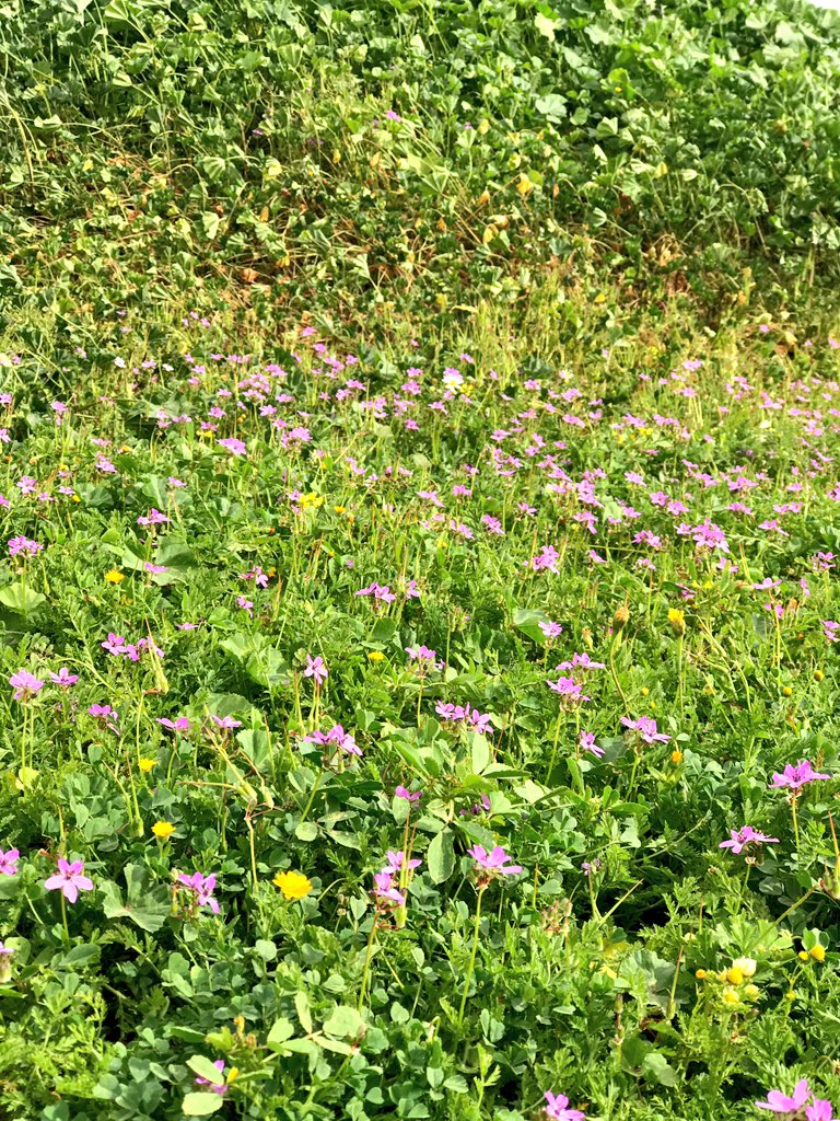 raid_58's tweet image. #اي_مدينه_سعوديه_تحبها