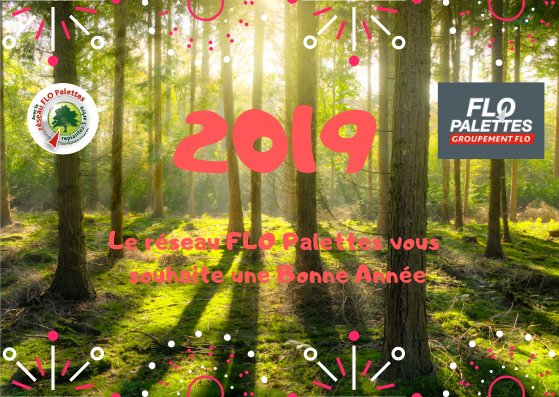 Le Réseau FLO Palettes vous souhaite une Bonne Année 2019. #BonneAnnee2019 #groupementFLO