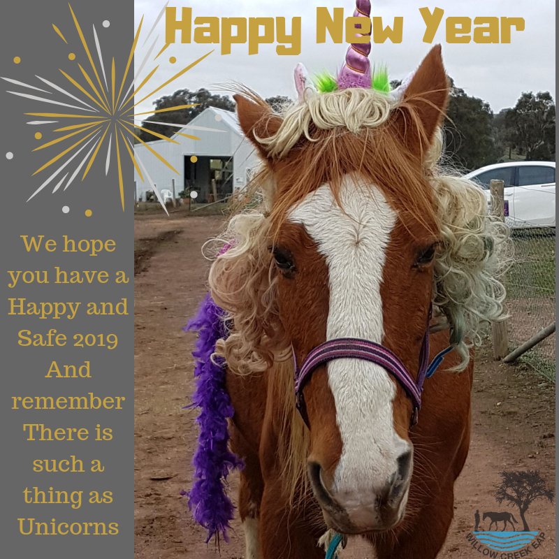 willowcreekeap's tweet photo. Happy New Year from the Team here at Willow Creek EAP #2019 #horseshelpinghumans #stayingsafe #ponylove https://t.co/Yv3dmzVPoL