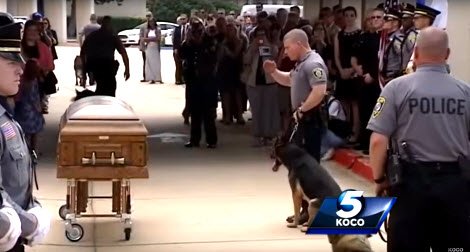 (He Sacrificed His Life - Touching 💖 Goodbye At The  🐶 K9 Funeral (Video))
dogmessenger.com/sacrificed-lif…
#dogmessenger #dogvideo #K9Dog
