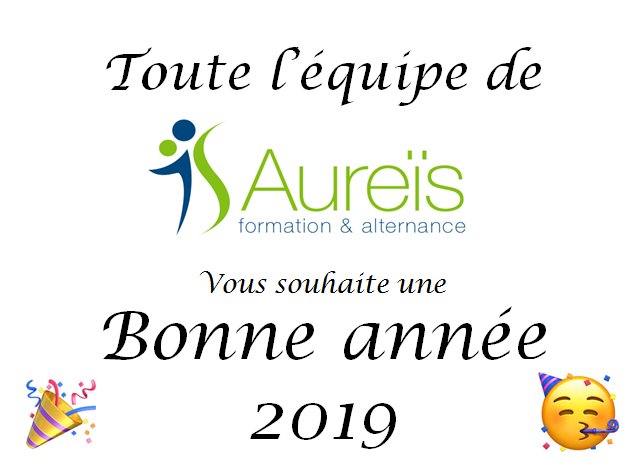 AureisFormation's tweet photo. Meilleurs vœux pour 2019! #BonneAnnee2019 https://t.co/VljFQn7iJc