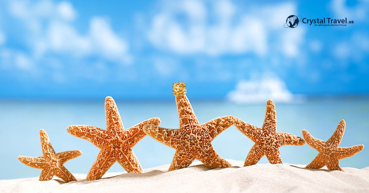 FlyCrystalUS's tweet photo. Grab the New Year travel deals at a great #DiscountedPrice before offer lasts. Hurry offer limited. 

Click Here to Book #NewYear #FlightTickets Now: https://t.co/92FcrsqqrI

#HappyNewYear #NewYear2019 #NewYearDeals #America #VacationDeals #FlightDeals https://t.co/SU6yv1c4uX