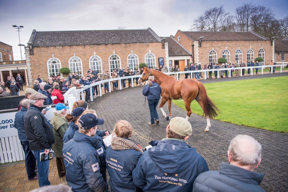 TheTBA_GB's tweet photo. Still looking to finalize covering plans for the 2019 breeding season? We will be running our popular stallion parades at the @GoffsUK January Sale (NH) &amp; @Tattersalls1766 February Sale(Flat) to give breeders the chance to view a selection of British based sires. https://t.co/b0dsthCjRY