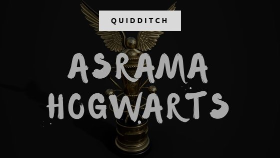 AHQuidd's tweet image. Quidditch Through the Years