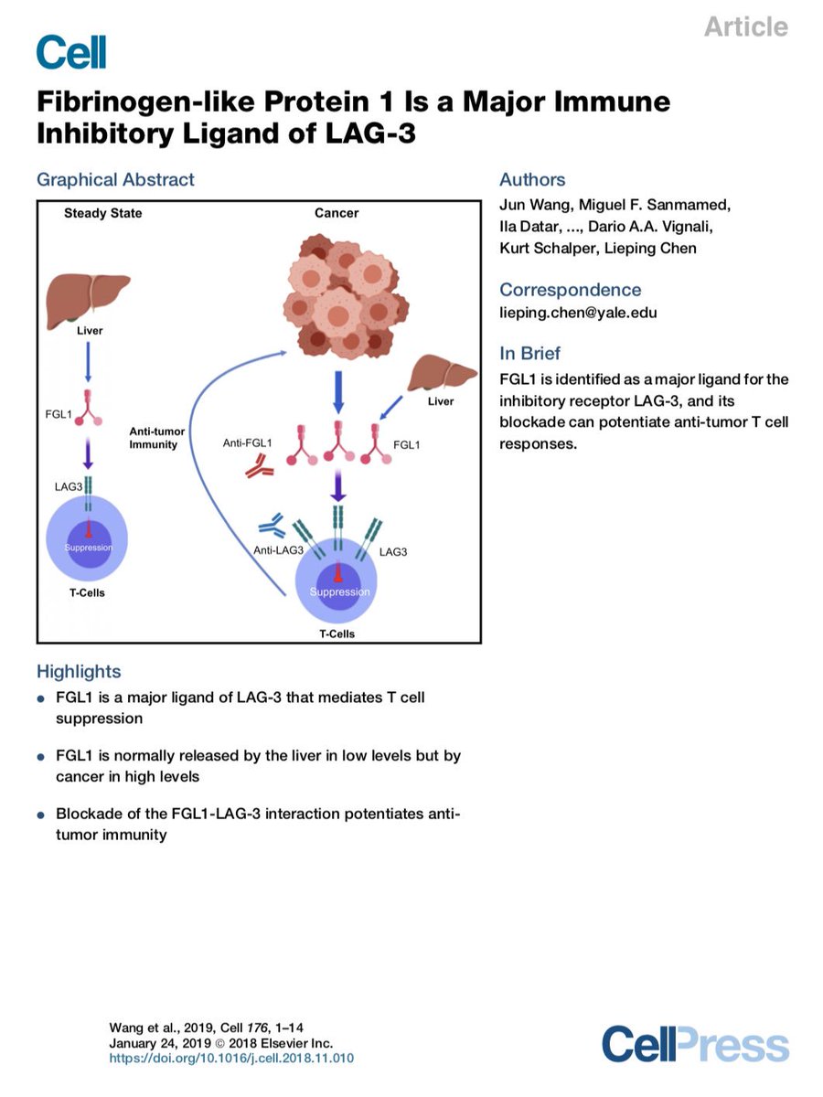 Zihai's tweet photo. Dr. James Huai-Cheng Huang, a visiting fellow in my lab from @q_nationaltaiwa discussed a recent paper from #LiepingChen @YaleCancer on #FGL1 as a functional ligand for #Lag3. This was our first lab meeting in 2019! https://t.co/dGv6028hdN