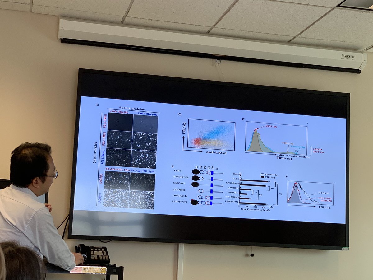 Zihai's tweet photo. Dr. James Huai-Cheng Huang, a visiting fellow in my lab from @q_nationaltaiwa discussed a recent paper from #LiepingChen @YaleCancer on #FGL1 as a functional ligand for #Lag3. This was our first lab meeting in 2019! https://t.co/dGv6028hdN