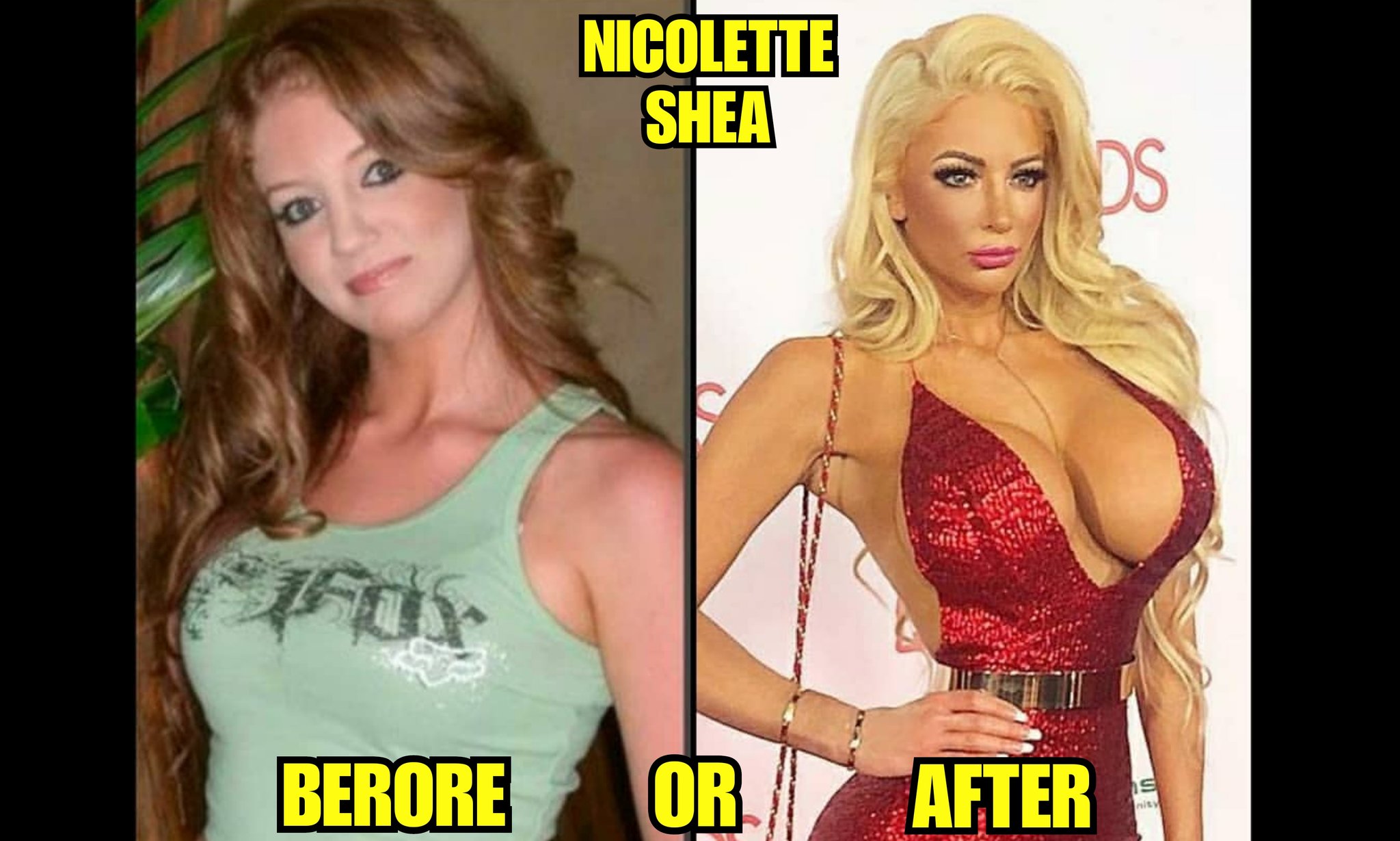 TW Pornstars - Silicone_Tits_Lover. Twitter. Before or After ?  @Nicolette_Shea fakeboobs silicone. 4:33 PM - 2 Jan 2019