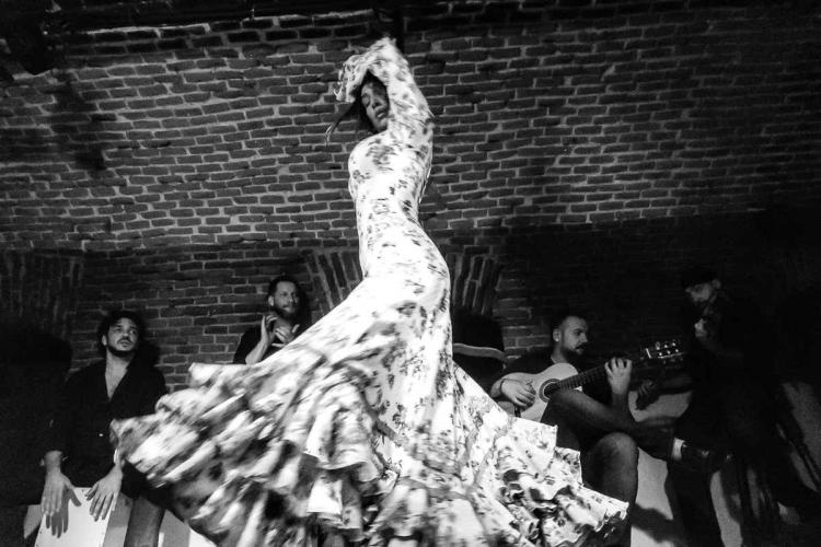 BWGallerist's tweet photo. “The Flamenco; The Spanish Passionate Dance” Photographs by Julio M. De Pena, Red Filter Gallery https://t.co/DAWnSHYX9J https://t.co/fsf0r7ojJb