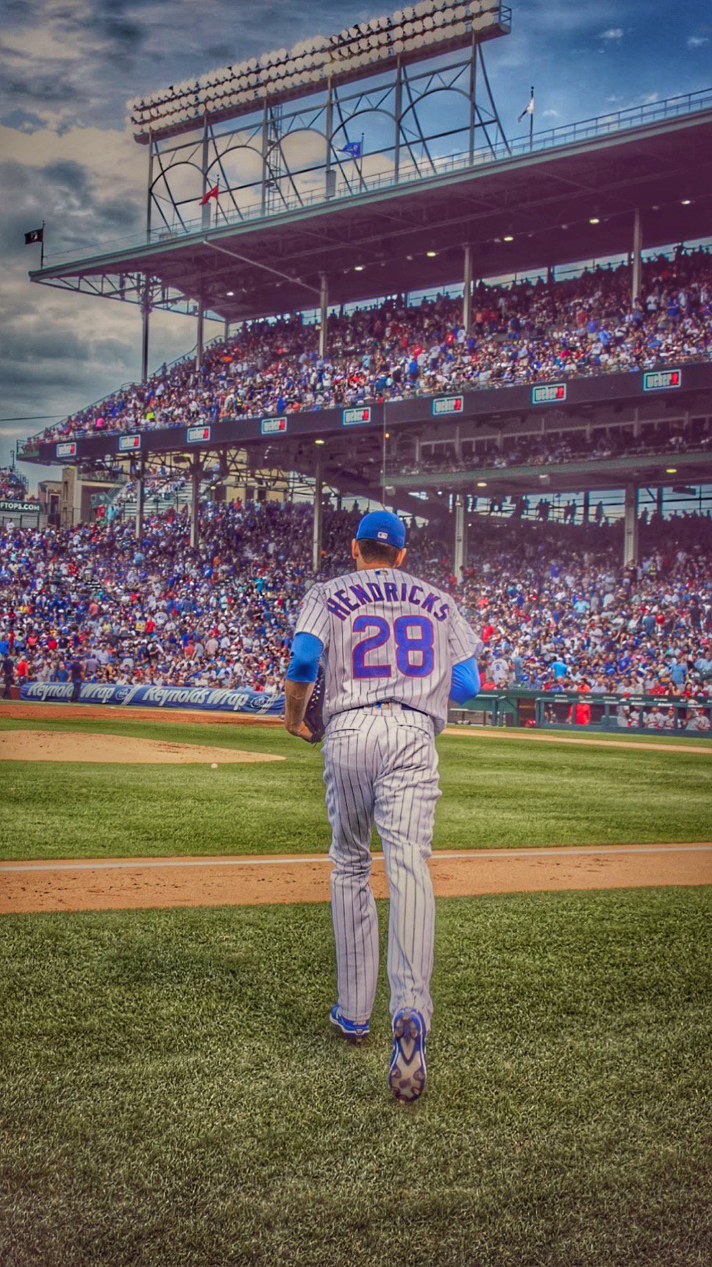 Cubs Wallpaper 73 pictures