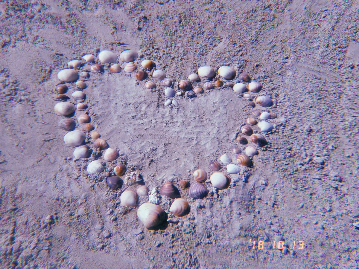 FannyPetters's tweet photo. Please never forget that I'm always here for you. I love you with all my heart and soul and I will forever be by your side. You can always count on me. ❤ @shaymitch #AlwaysWithYouShay https://t.co/yCtg4RtKIE