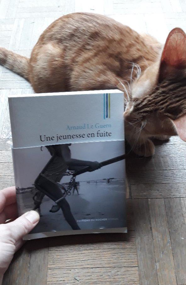 ALGEdit's tweet photo. J - 7. "Une jeunesse en fuite". En librairie le mercredi 9 janvier. #UneJeunesseEnFuite #PArlezEnDéjàAVotreLibraire #EditionsDuRocher #OnLaisseHouellebecqPrendreSesMarquesAhaha #Bretagne #GuerreDuGolfe #Annees90 #Adolescence #Brest #TrezHir #UnHiverUnEte #Pere&Fils #VieDePatachon https://t.co/vPWCUYIgQW