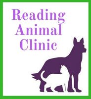 ReadingAnimalMA's tweet photo. It is with sadness that we must inform you that Dr. Thistle’s last day at Reading Animal Clinic will be January 30, 2019. She has decided that she wants more time to focus on her family. To see the entire announcement please visit our facebook page @ReadingAnimalclinic https://t.co/F50llpFYO2