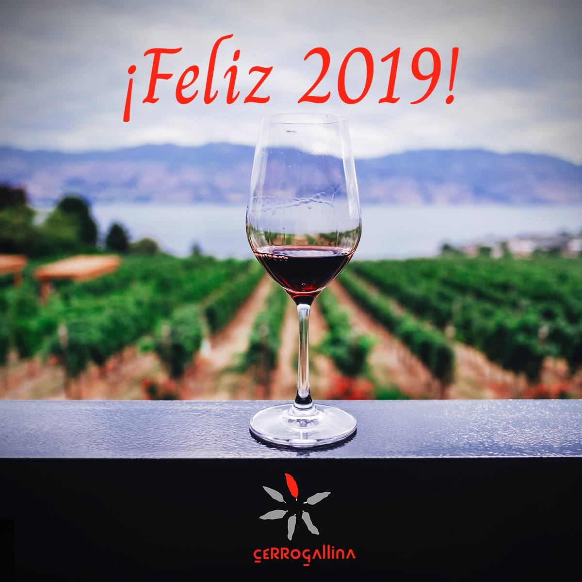 cerrogallina's tweet photo. 🎊 ¡FELIZ AÑO NUEVO! ✨

😙🍷 Brindamos por un próspero y feliz 2⃣0⃣1⃣9⃣, en el que esperamos sorprenderos tanto o más con nuestros vinos.

#BodegasCerroGallina #VinoTinto #Feliz2019 #Bobal #PinotNoir https://t.co/Aaj6Nuy0va