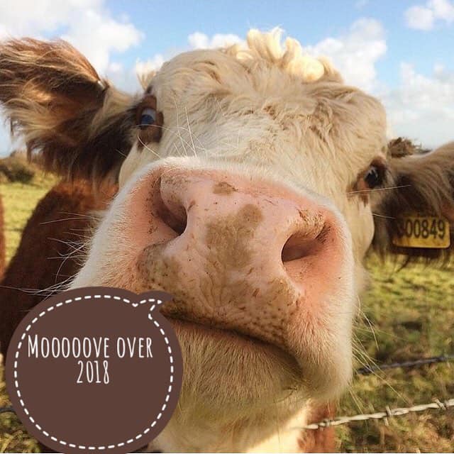 EatSleepLiveHfd's tweet photo. Hello #MarchesHour Happy New Year to you all! 
Let's get 2019 off to a smashing start, #TeamESL wish you a successful and prosperous year ahead. #Herefordshire 
https://t.co/jLLD2v0g4E https://t.co/tdn34N6raS