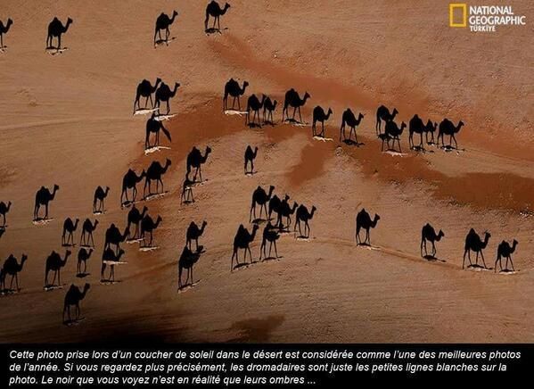 Photos Histoires tweet media