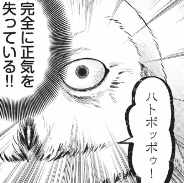 キャンパスの魔法使い、最新話更新されました。今回はありすの使い魔のあやめが主役です。ハトポッポゥのあやめはLINEスタンプとかに使えそう👍 https://t.co/aev6l5SMFW