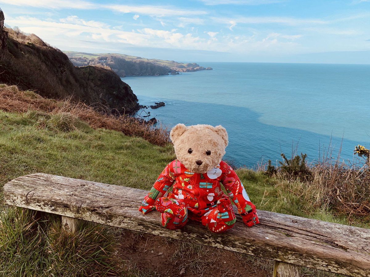 willow_dawes's tweet photo. Willow bear joined us on a walk up Little Hangman cliff ❤️ https://t.co/OleXJXBk1m