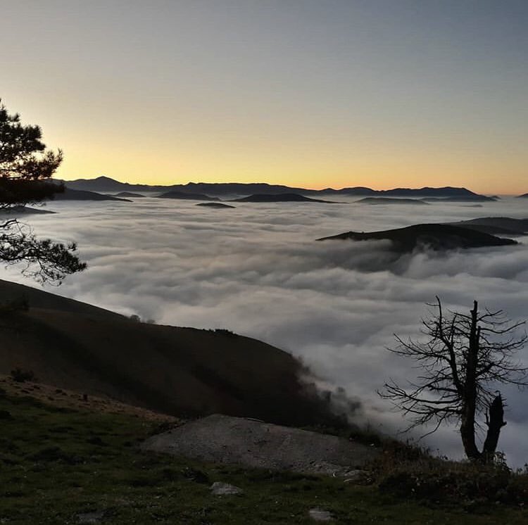 Meteo_Pyrenees's tweet photo. Brouillard en Soule 🙌 #soule #paysbasque #xiberoa #euskalherria #pyreneesatlantiques #pyrenees #musculdy
📷 pauline_afflatet merci https://t.co/MS6q3cVauR