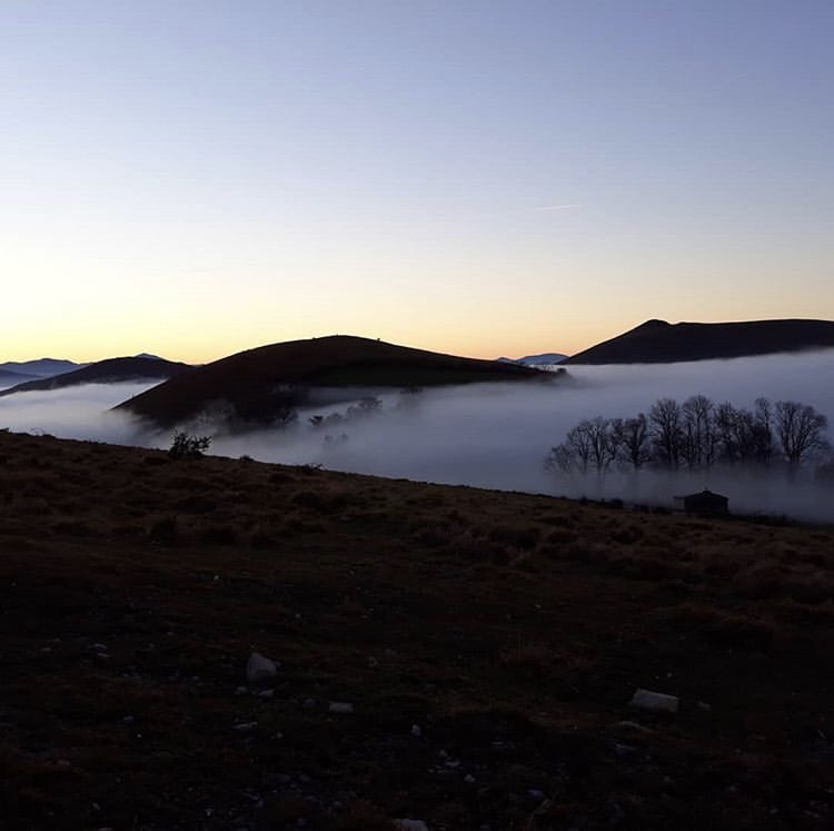 Meteo_Pyrenees's tweet photo. Brouillard en Soule 🙌 #soule #paysbasque #xiberoa #euskalherria #pyreneesatlantiques #pyrenees #musculdy
📷 pauline_afflatet merci https://t.co/MS6q3cVauR