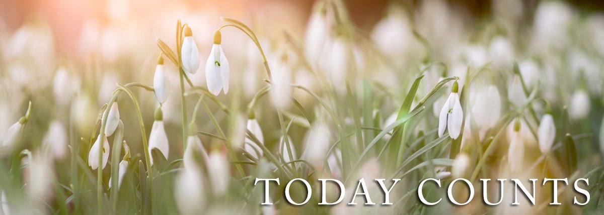 vm_talk's tweet image. Today Counts - January 2019 - mailchi.mp/b158f46156b2/t…
Happy New Year !!!!  May God Bless you and prosper you in all you do in this coming year. :)