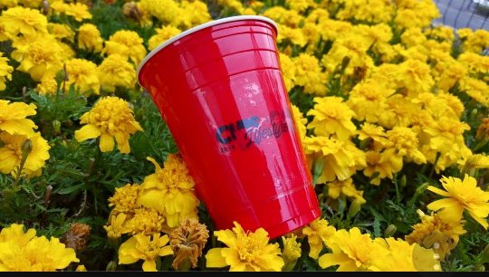 Tmskingcups's tweet photo. Branded Cups
50 cups🔥 R310

100 cups 🔥R600

200 cups 🔥 R1100

500 cups 🔥R2900

1000 cups 🔥R5800

We also deliver📦📮📭 countrywide 🌍🌎🌏🌐
Contacts us on 
📞☏ 0763857596
📧  Tmsredcups@gmail.com
Twitter #Tmsredcups
Instagram #Tmsredcups https://t.co/zdAZjBsnam
