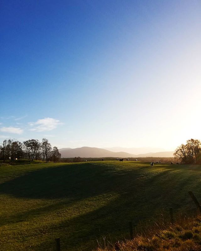 jennycsteele's tweet photo. Had a lovely few days in the Highlands with family, heading back to the big city now. It's super ❄️⛄
.
.
.
.
.
.
.
#carrbridge #highlands #cairngormsnationalpark #cairngorms #scotland #winter #cold #holiday #2019 #newyear2019 #sunshine #rest #relaxat… https://t.co/hDKjMnlxE8 https://t.co/zCVko4iZwu