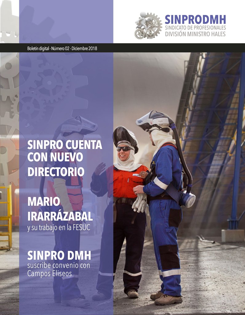 sinprodmh's tweet image. 🔵 ¡Feliz 2019 para todos! Iniciamos el año invitándoles a leer la 2da Edición del Boletín #SINPRO DMH, estrenada a fines de diciembre. Pueden revisarlo en 👉 issuu.com/sinpro.dmh/doc…