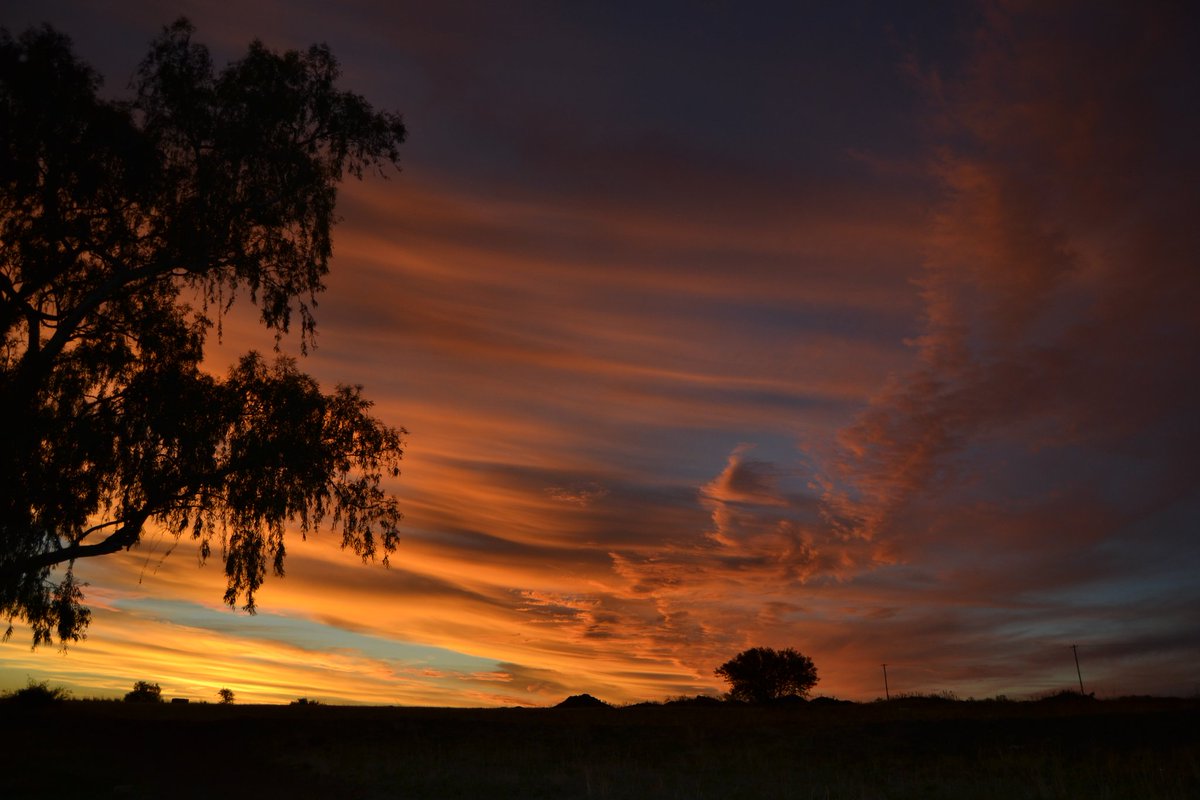 MariGower's tweet photo. Clouds come floating into my life, no longer to carry rain or usher storm, but to add color to my sunset sky.

Rabindranath Tagore

#prettyclouds #sunsetsandtrees
#orangeandred #godisthemasterpainter https://t.co/bTXIgGGODi