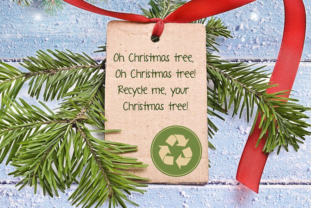 Make sure that you register your tree before the 7th Jan so that Hospiscare volunteers can come to collect and recycle your Christmas trees in return for a donation! 

Click here to register: bit.ly/2EtRoyb

Huge thanks to <a href="/Coastal_Waste/">Coastal Recycling</a> for supporting this service.